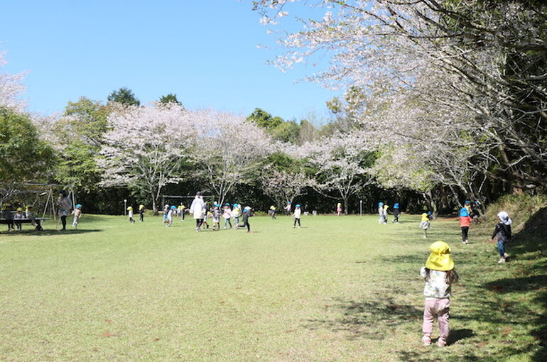 P1117622