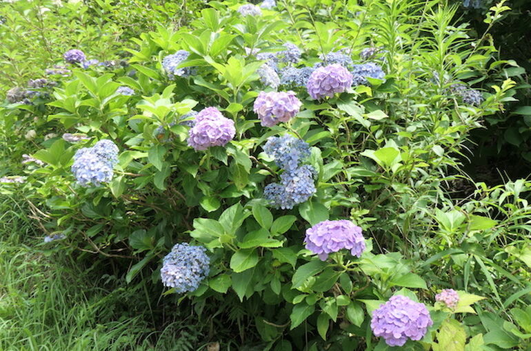P1165540